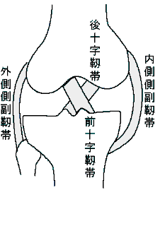 突然 と 膝 曲げる 痛い 膝の痛みと腫れが突然出た！考えられる原因は？